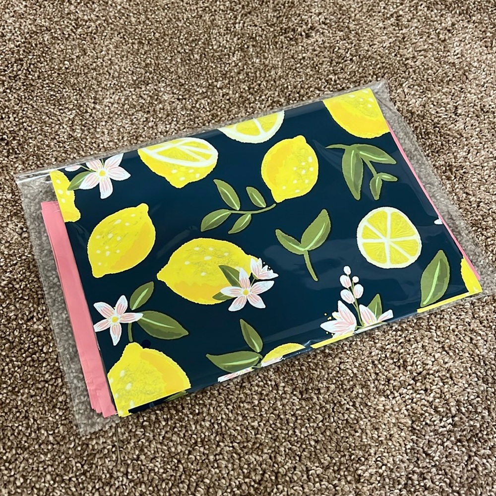 Set of 15 Summer Lemon 10x13 and Pink 6x9 Polymailer - Picture 6 of 6